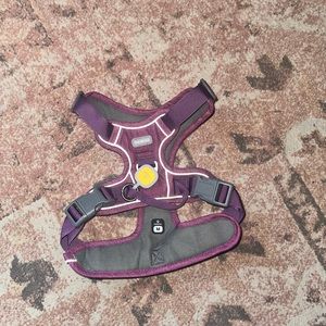 Purple Dog Harness